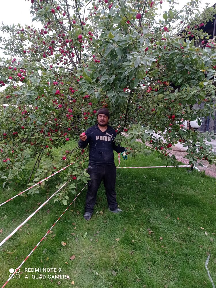 ���� 26379791 ������� ����, 36 ���, ���� ���������� � �����-����������