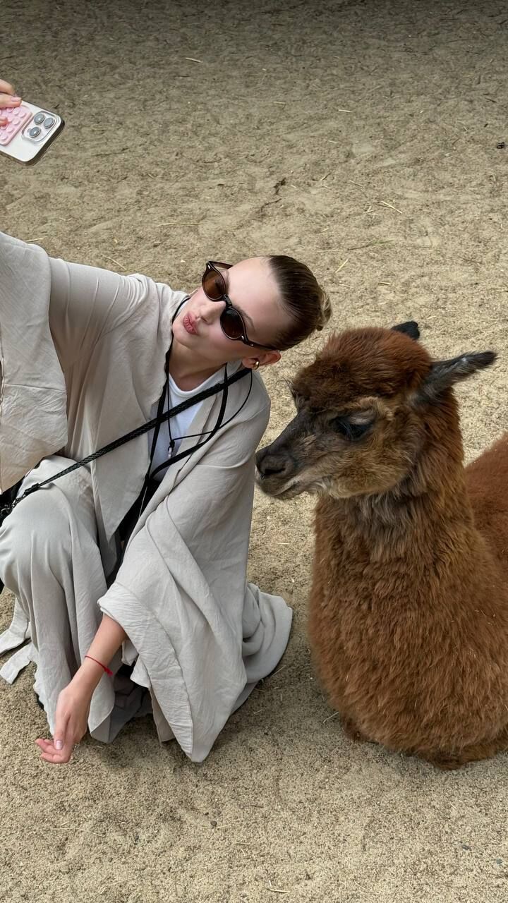 ���� 52401121 ������� �����, 29 ���, ���� ���������� � ������