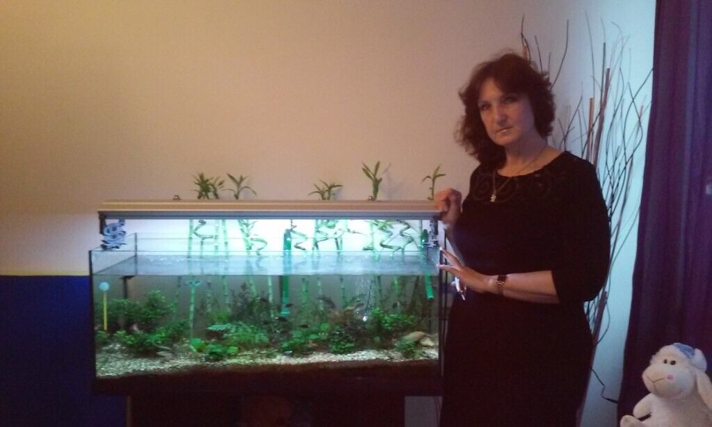 ���������� ������, ���� ������� �����, 65 ���, ������������ ��� ������, ����� � ���������