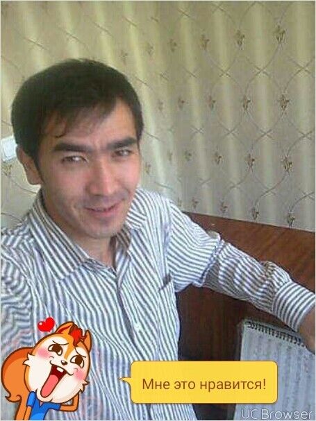  ,   Aset, 41 ,   ,   , c 