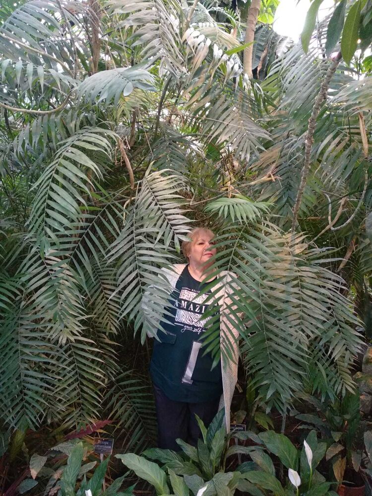 ���������� ������, ���� ������� ���������, 64 ����, ������������ ��� ������, ����� � ���������