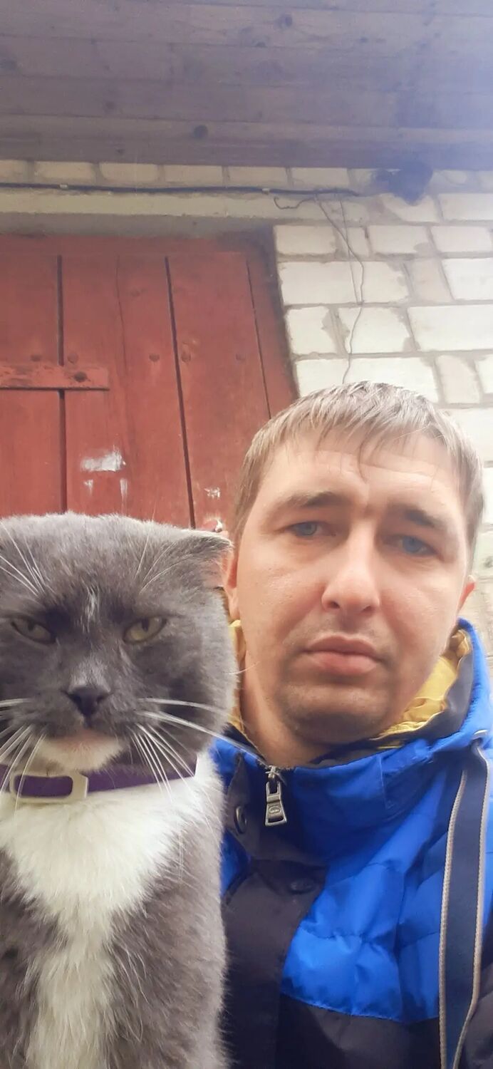 ���� 38566561 ������� ����, 32 ����, ���� ���������� � ����