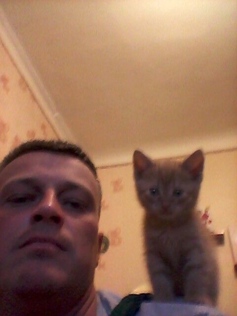 ���������� �����, ���� ������� ������, 45 ���, ������������ ��� ������