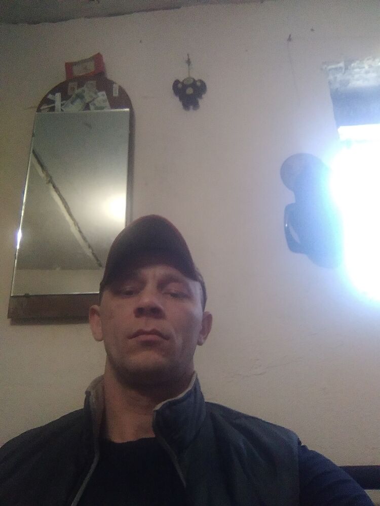  43312051  , 33 ,    