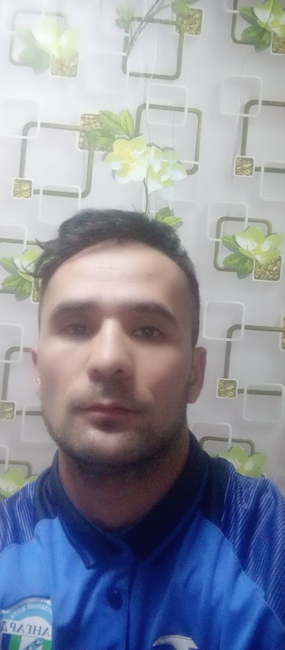  48281611  Mir, 26 ,    