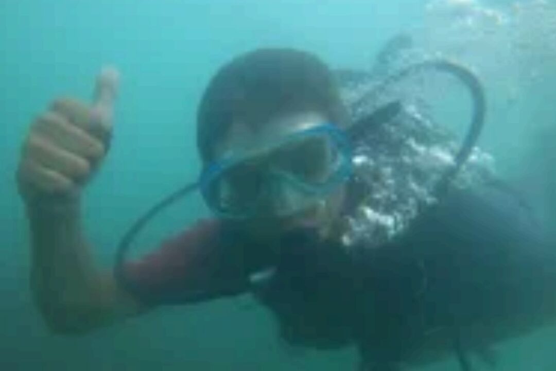  39493771  , 38 ,    
