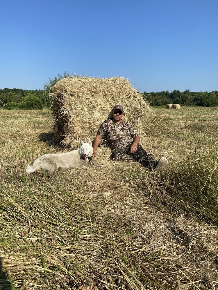 ���������� ������, ���� ������� �������, 40 ���, ������������ ��� ������, ����� � ���������, c�������� ���������, ���������