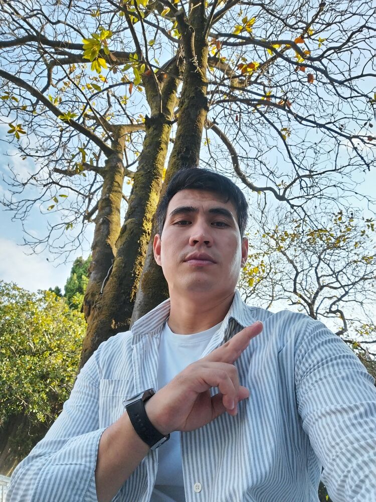  45881761  , 31 ,    