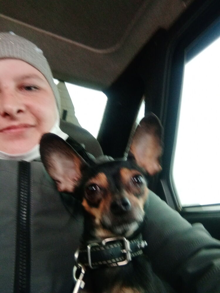 ���������� ������, ���� ������� ��������, 35 ���, ������������ ��� ������, ����� � ���������