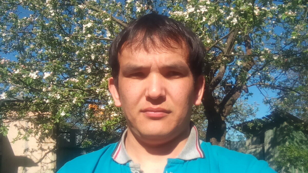 ���� 9567841 ������� �����, 33 ����, ���� ���������� � ������