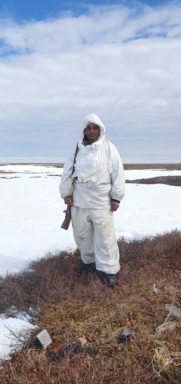  50665121  , 45 ,    -