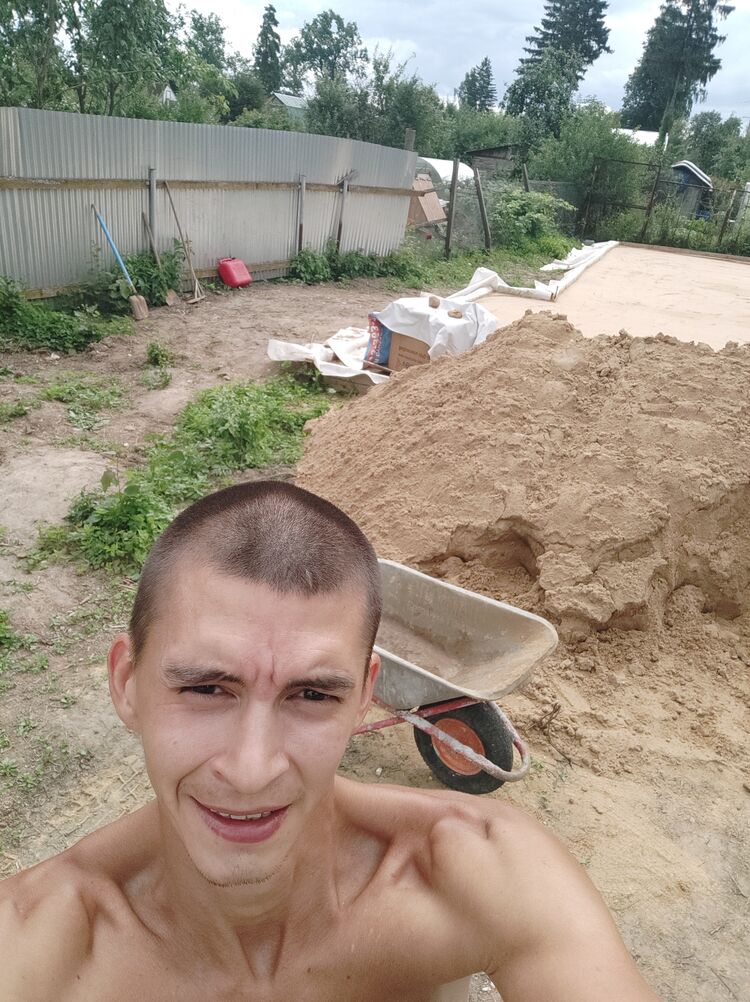  31581451  , 36 ,    