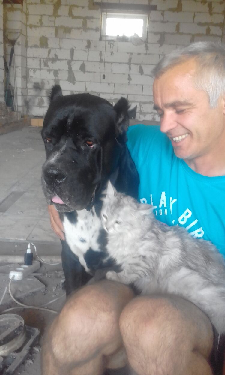  ,   , 45 ,   c 