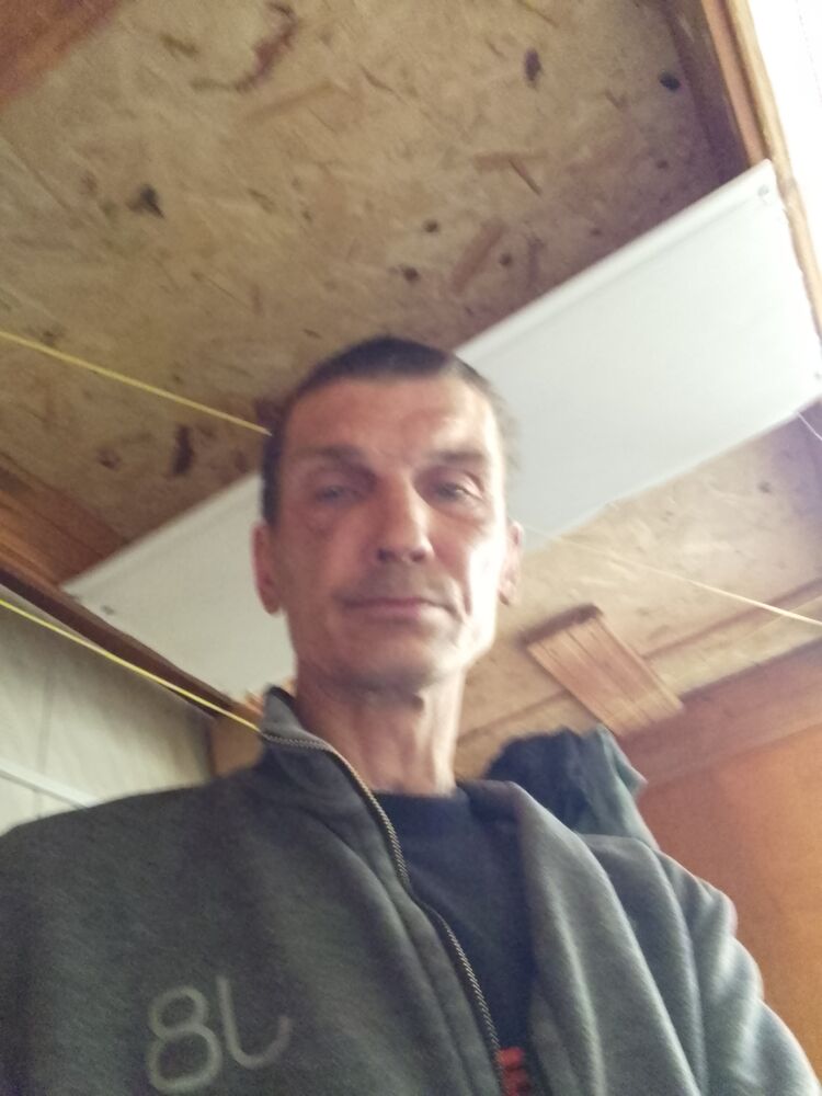  34146111  , 46 ,    