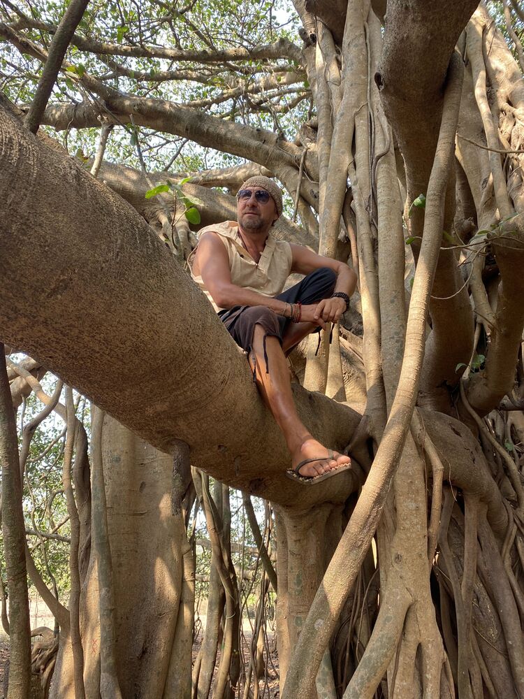 ���� 25612951 ������� YS, 53 ����, ���� ���������� � ����������