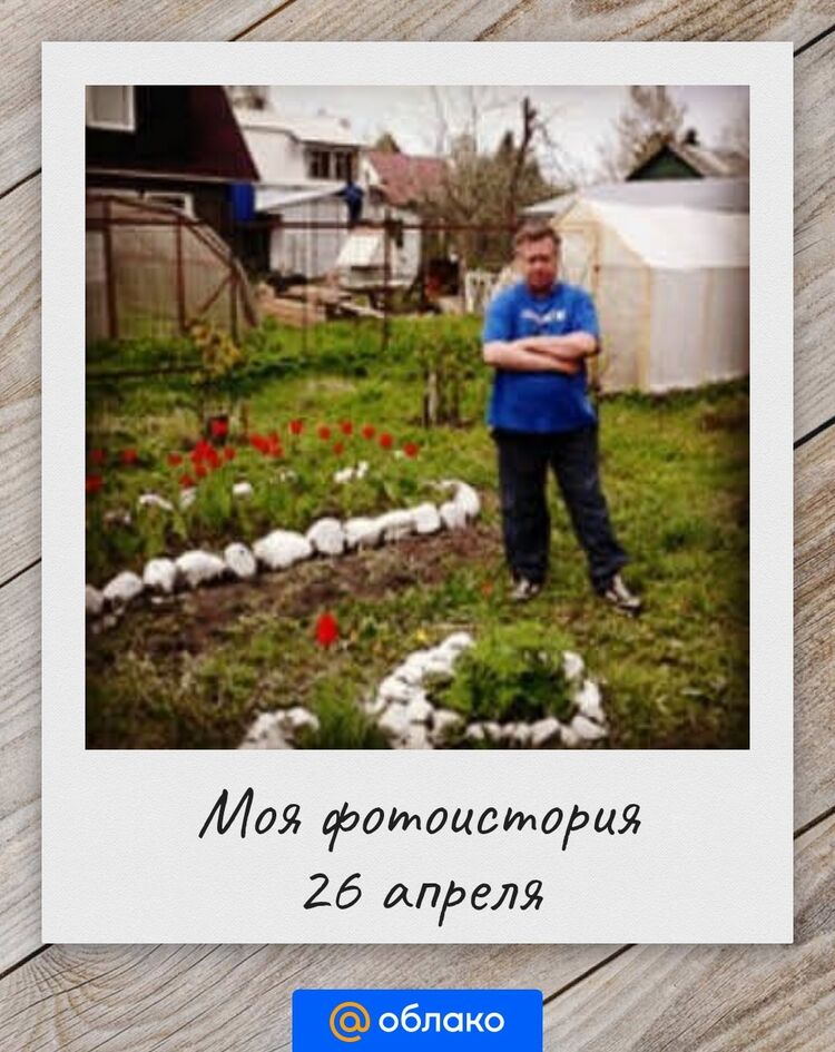  43256581  , 62 ,    -