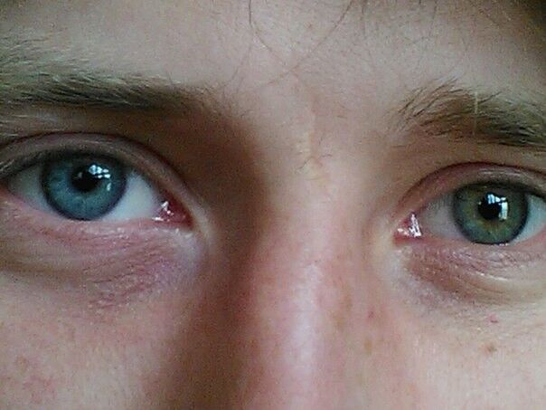 ���������� �������, ���� ������� ���������, 36 ���, ������������ ��� ������, ����� � ���������, c�������� ���������