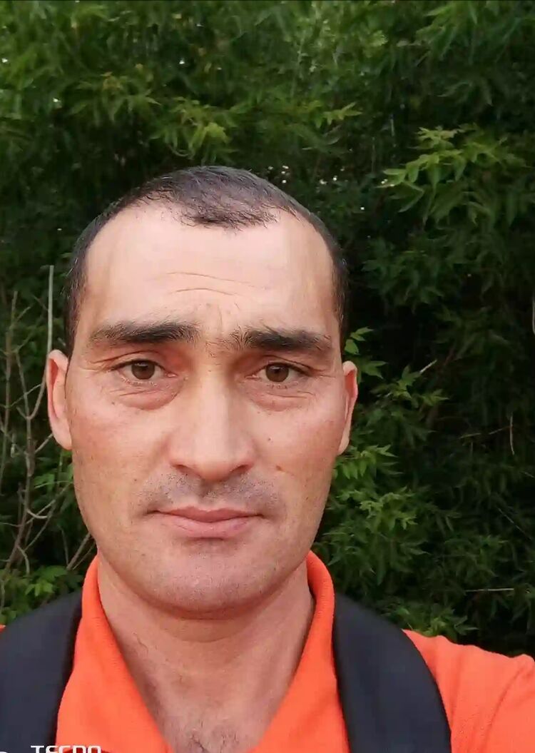 ���� 41902731 ������� ������, 40 ���, ���� ���������� � ������