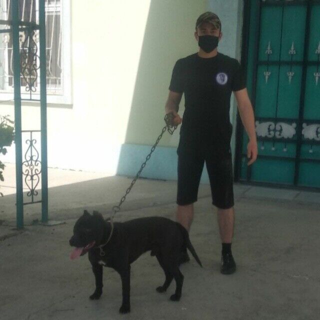 ���� 20479281 ������� ����, 26 ���, ���� ���������� � ������