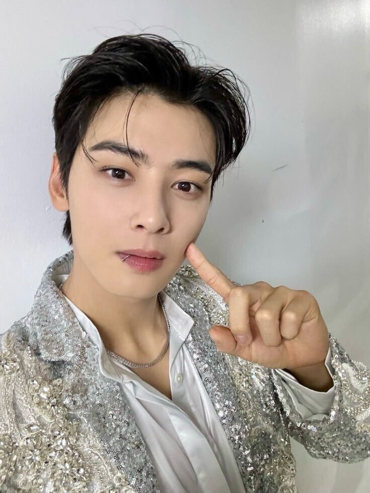  49731161  Cha Eun woo, 34 ,    