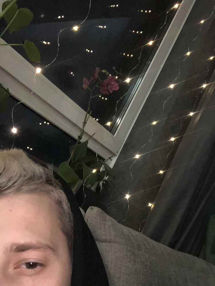 ���������� �����������, ���� ����� ���, 23 ����, ������������ ��� ������, ����� � ���������, c�������� ���������, ���������