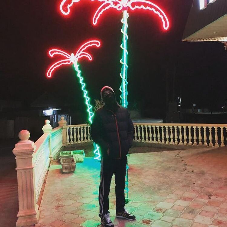 ���� 24706851 ������� Ogre, 29 ���, ���� ���������� � ���������