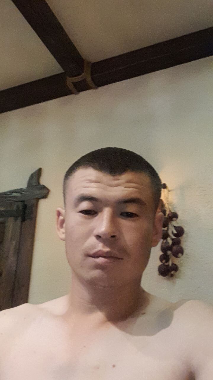  31243801  , 34 ,    