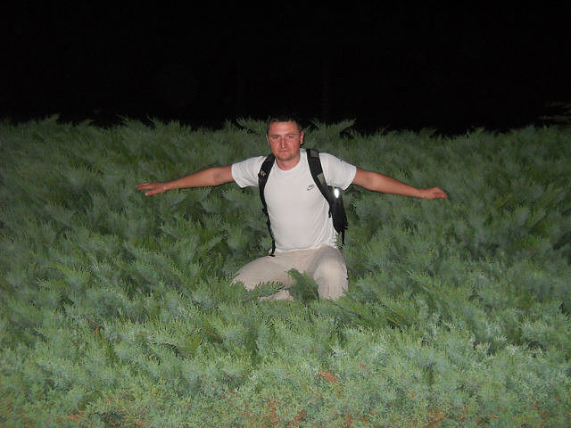 11003091  Vasika, 35 ,    