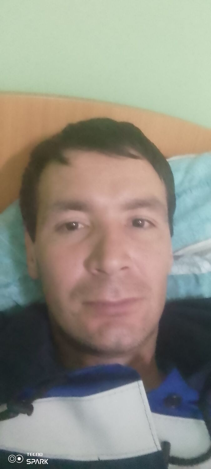 ���������� ���������, ���� ������� ������, 38 ���, ������������ 