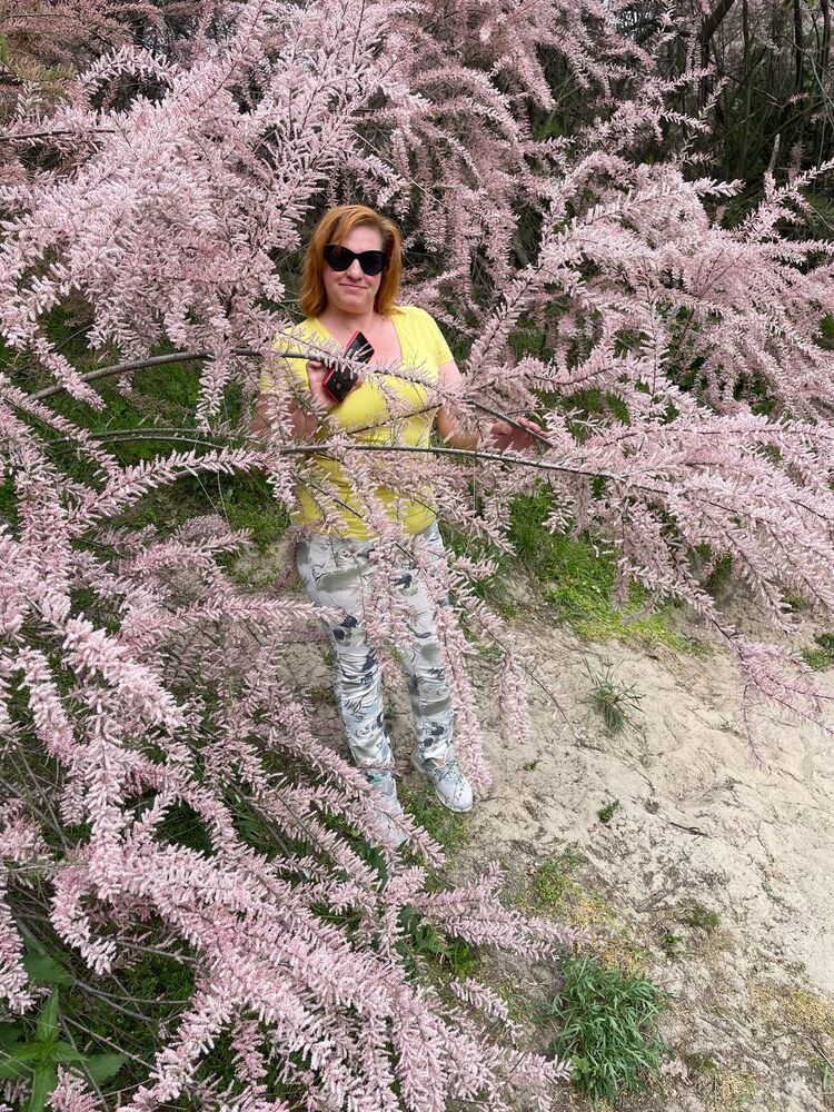 ���������� �������, ���� ������� �����, 48 ���, ������������ ��� ������, ����� � ���������