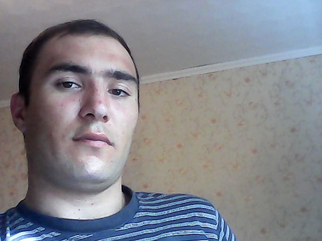  4201231   , 38 ,    