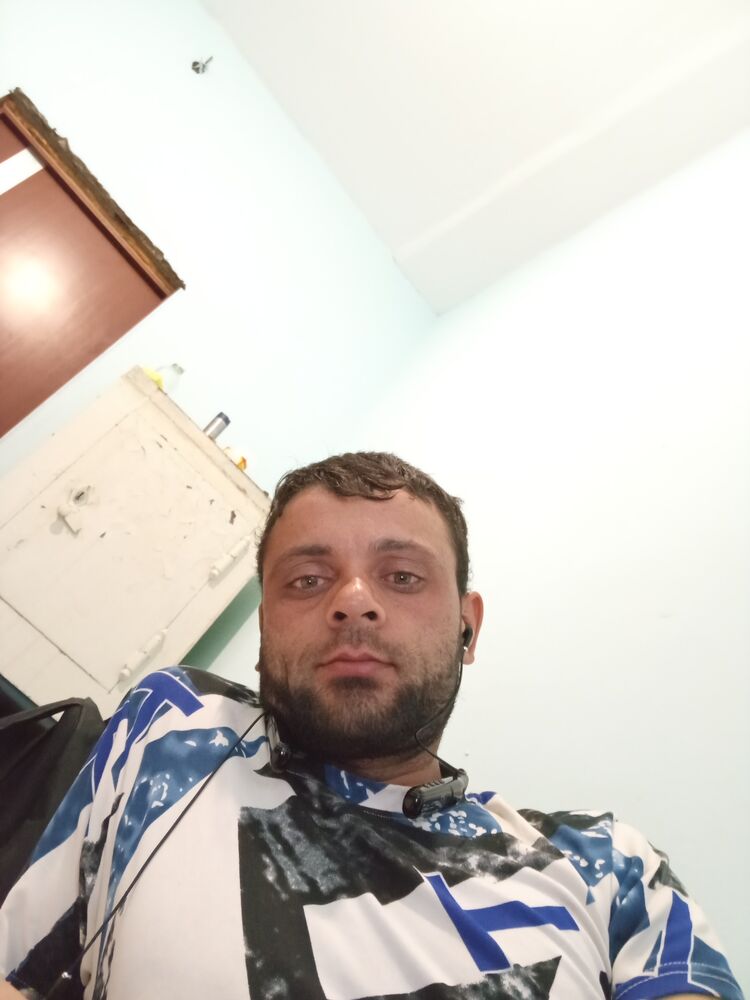  52593891  , 31 ,    