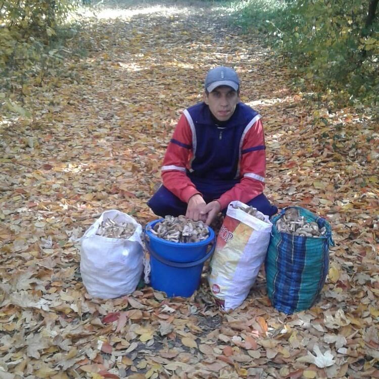  ,   , 42 ,  