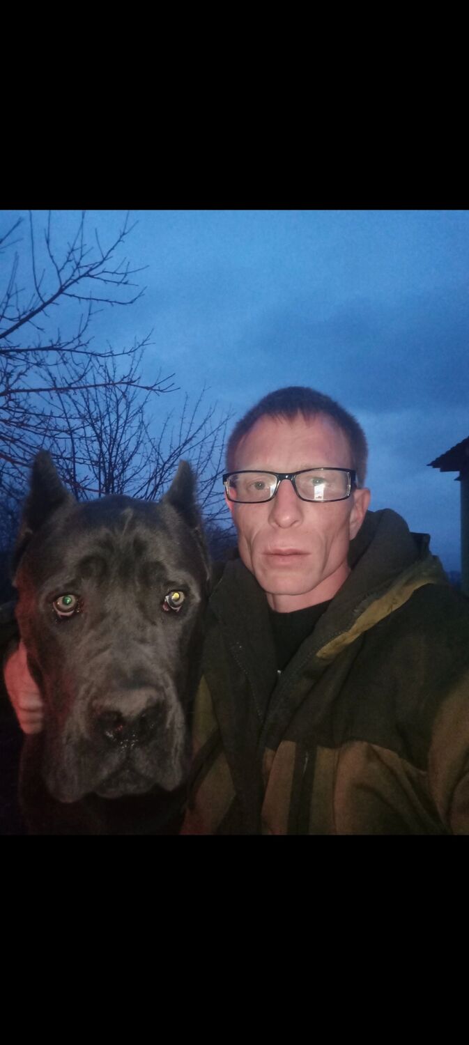 ���� 55301311 ������� �������, 36 ���, ���� ���������� � ������������