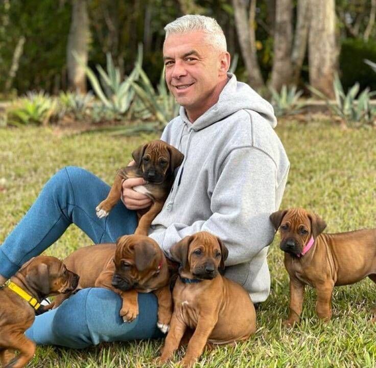  50865421  Frankcarlos, 60 ,    