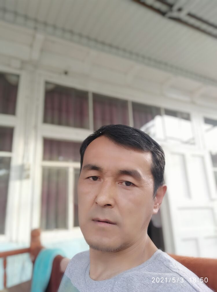  22981491  , 51 ,    