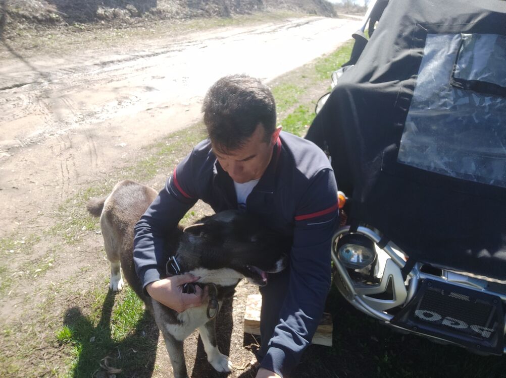  ,   John, 46 ,   ,   