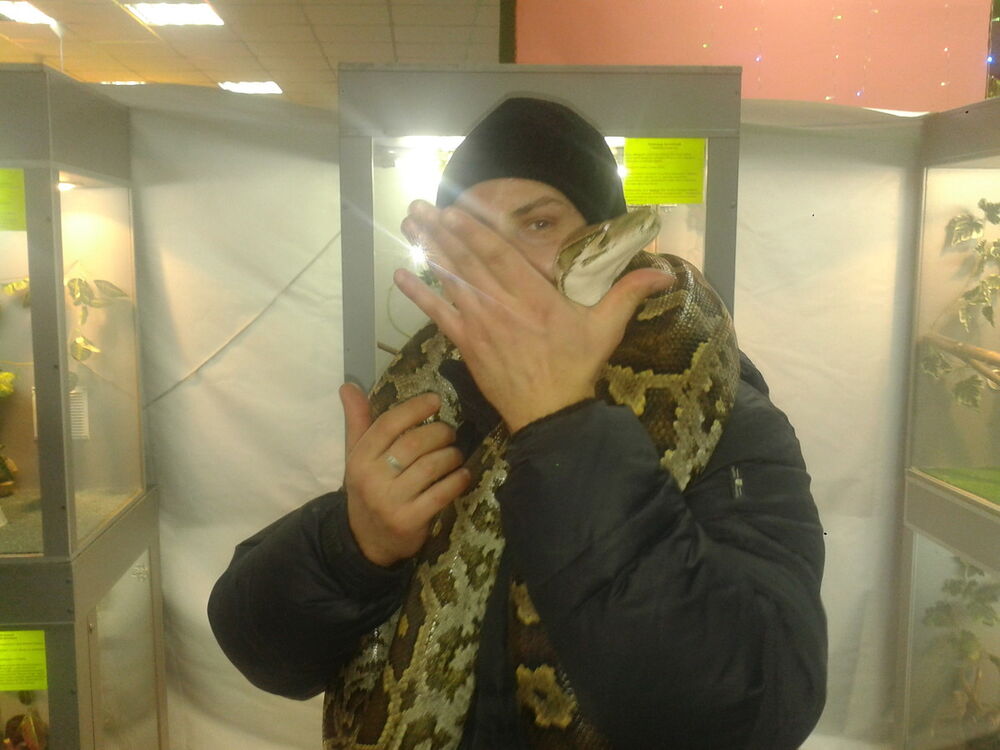 ���������� �������, ���� ������� �������, 46 ���, ������������ ��� ������