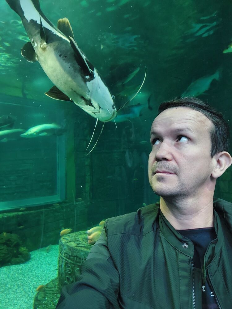 ���������� ���������� �����, ���� ������� Vladimir, 47 ���, ������������ ��� ������, ����� � ���������