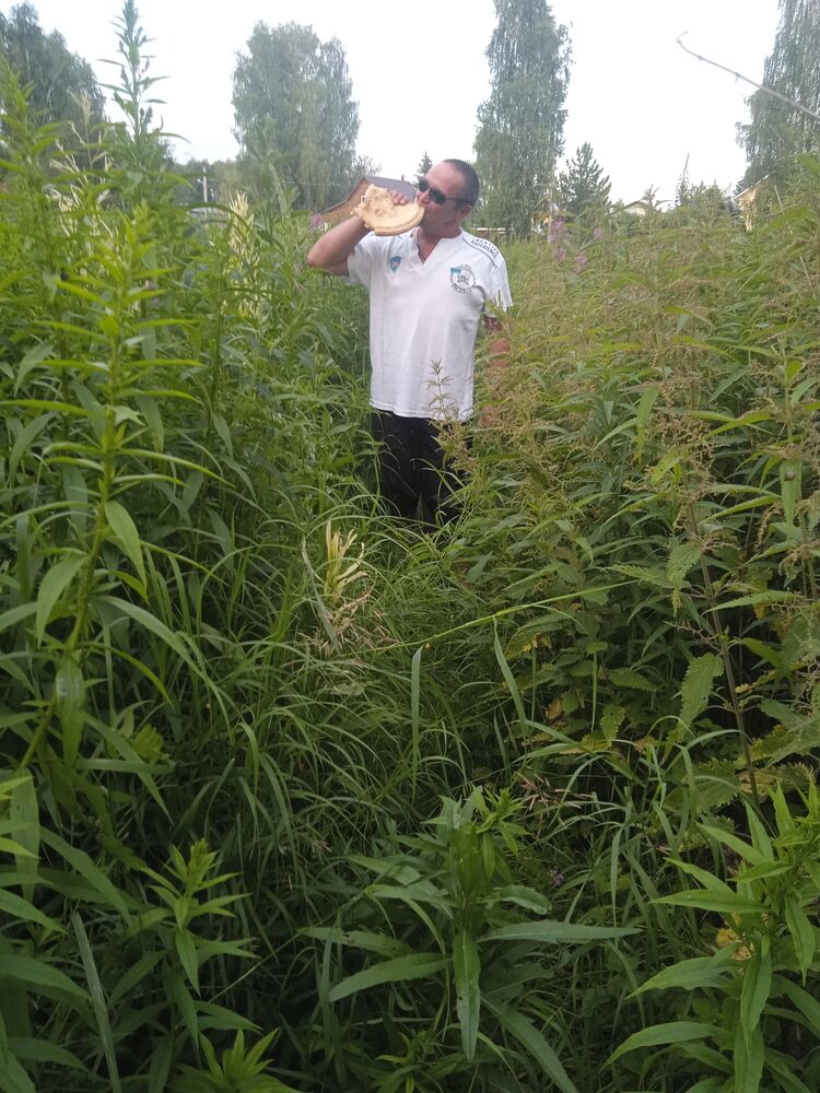 ���� 55022961 ������� ����, 48 ���, ���� ���������� � �������