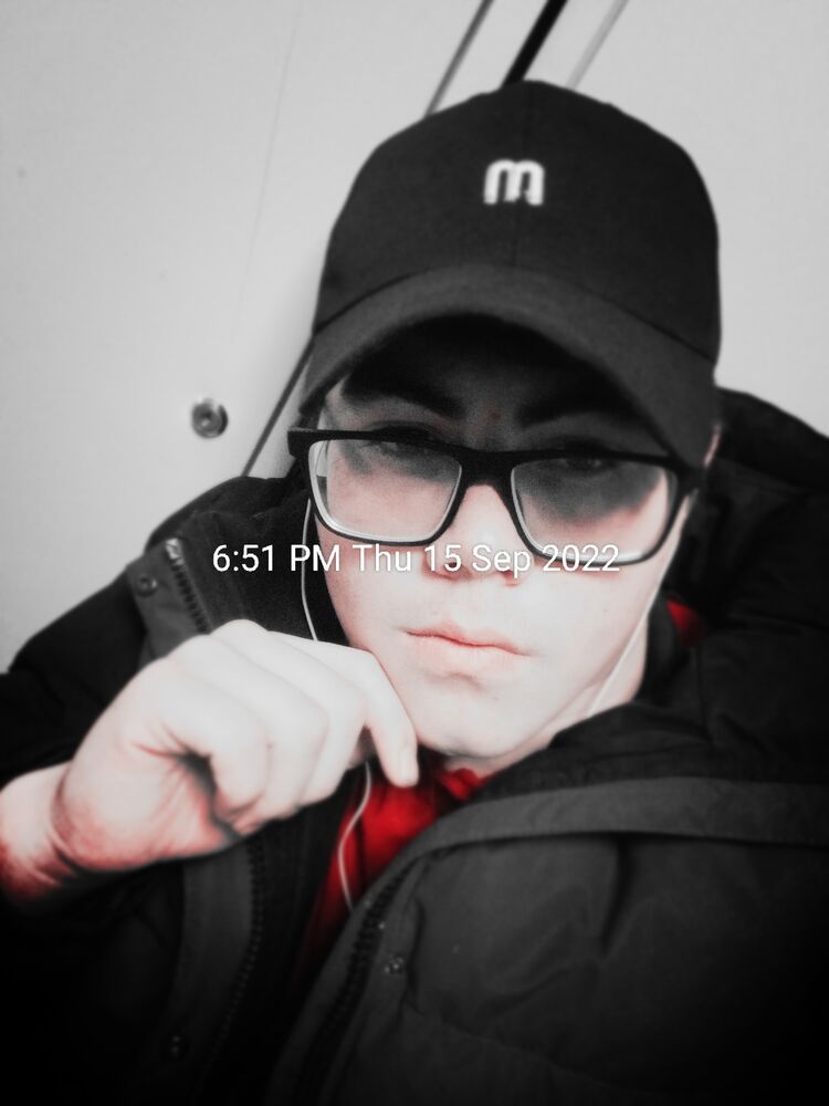  29341431  , 22 ,    -