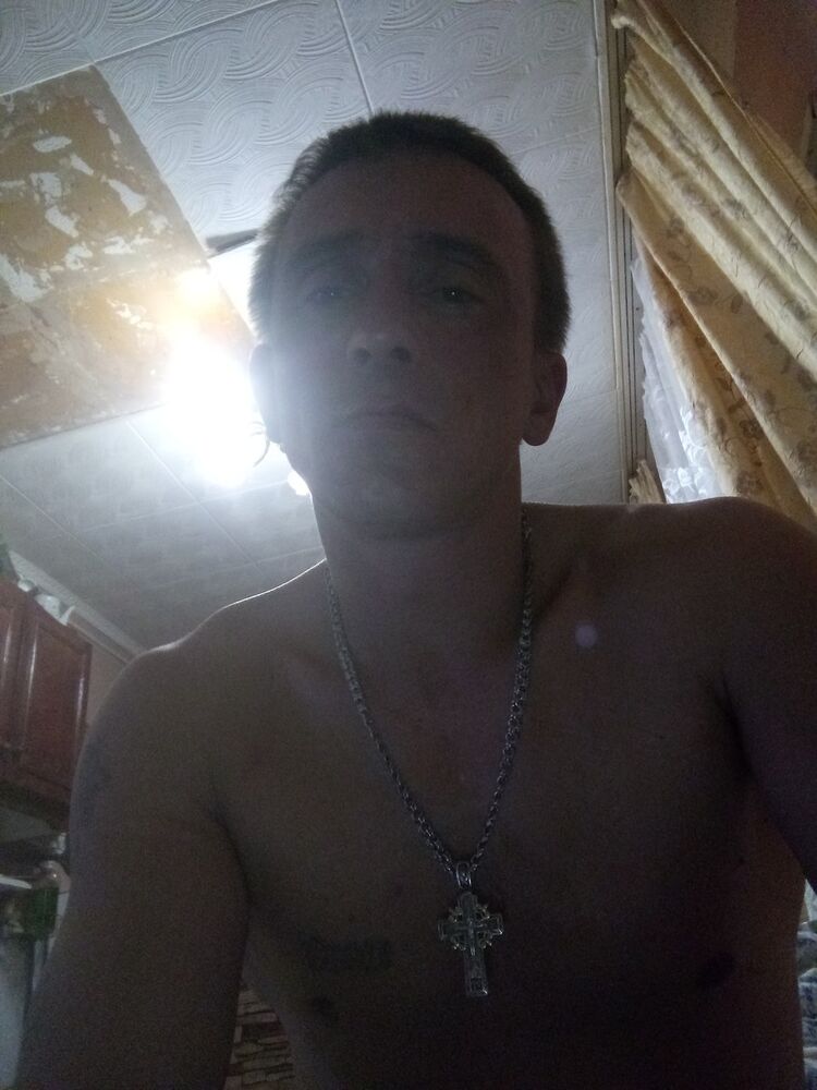  15589331  , 43 ,    