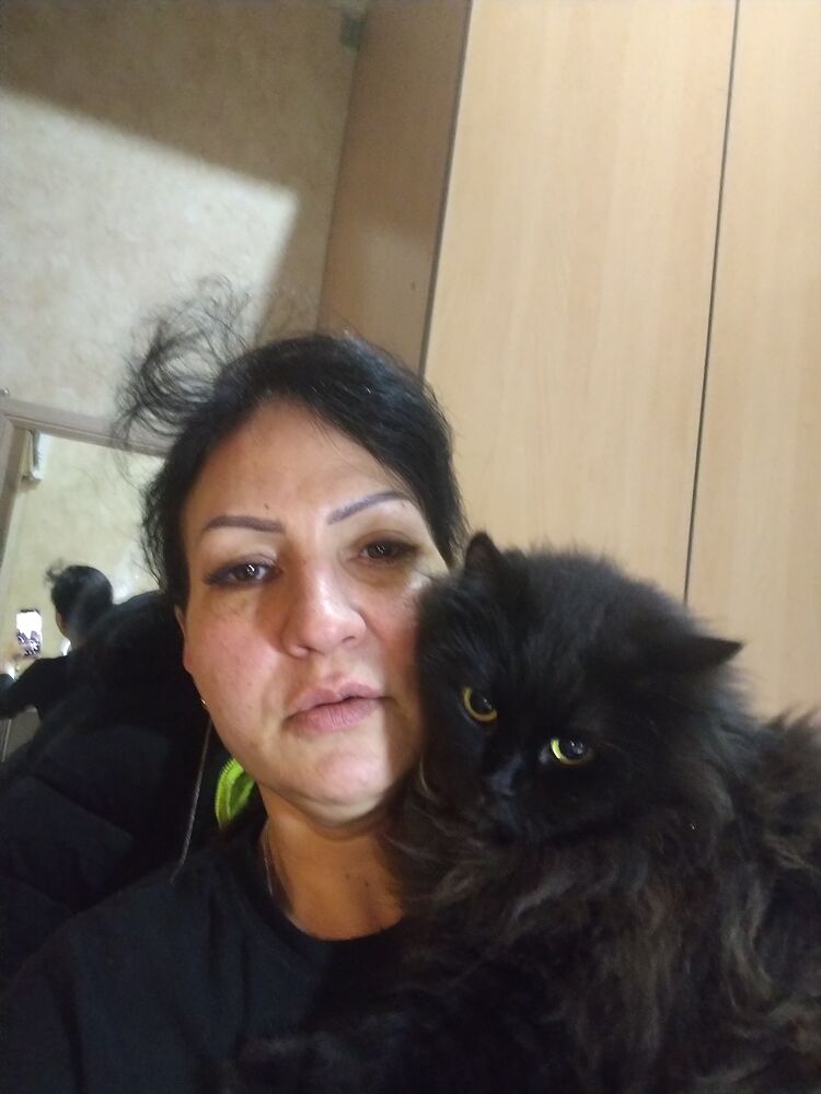 ���������� ��������, ���� ������� �������, 38 ���, ������������ ��� ������, ����� � ���������, c�������� ���������, ���������