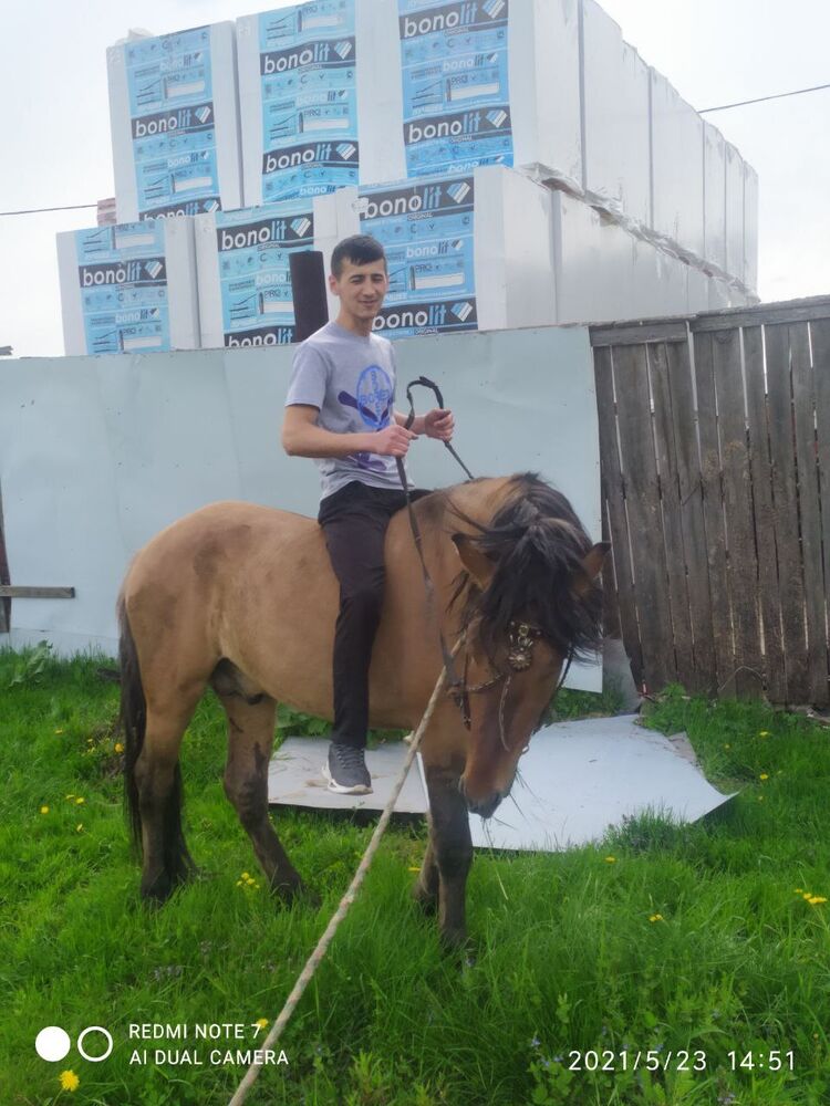 ���� 25954131 ������� ����, 28 ���, ���� ���������� � ����