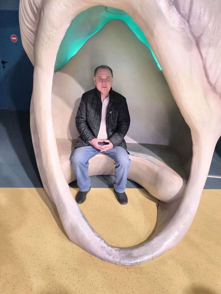 ���� 54120691 ������� ������, 52 ����, ���� ���������� � ��������