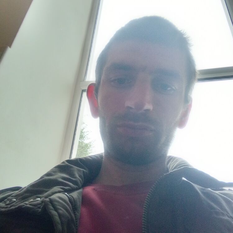  31502371  , 36 ,    