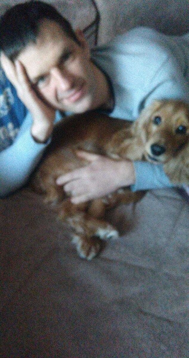 ���� 16708971 ������� ������, 44 ����, ���� ���������� � ����������