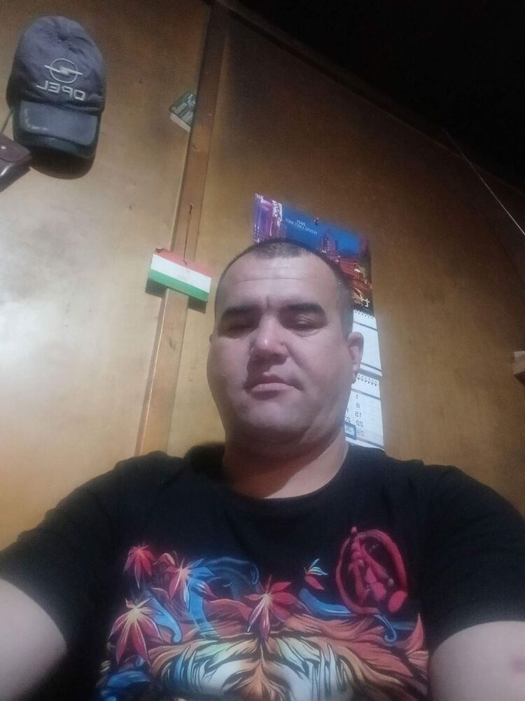  36448841  , 44 ,    