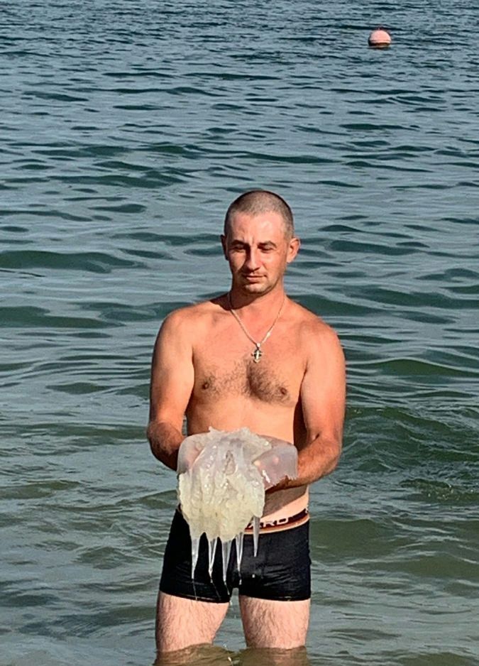 ���������� �����, ���� ������� ����, 36 ���, ������������ ��� ������, ����� � ���������, c�������� ���������