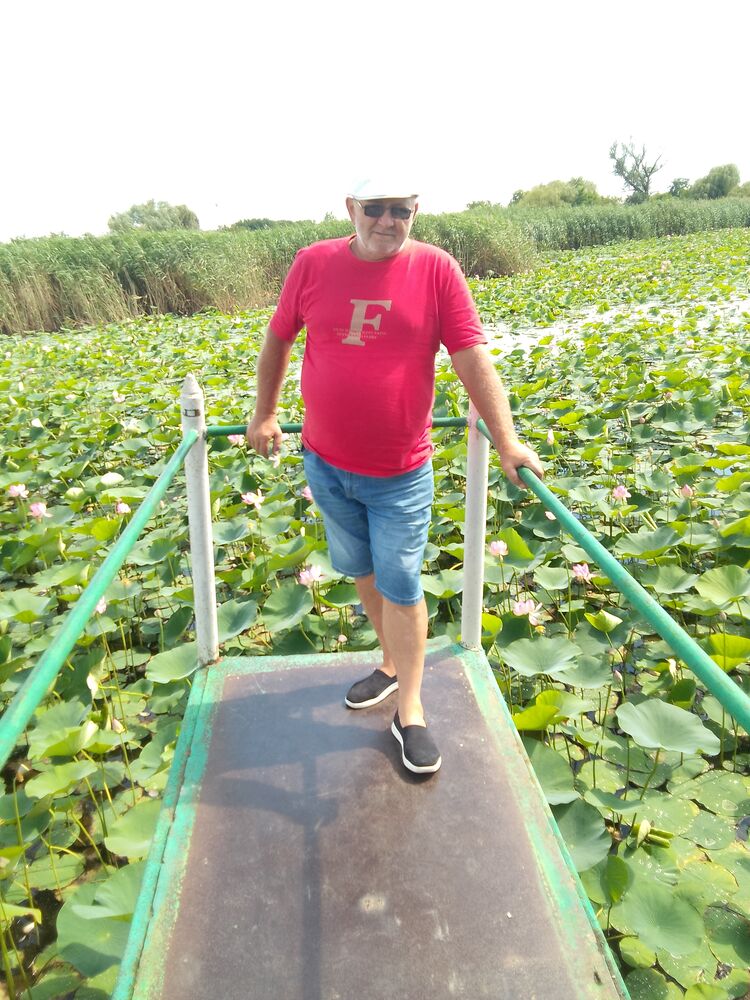  ,   , 52 ,   ,   , 